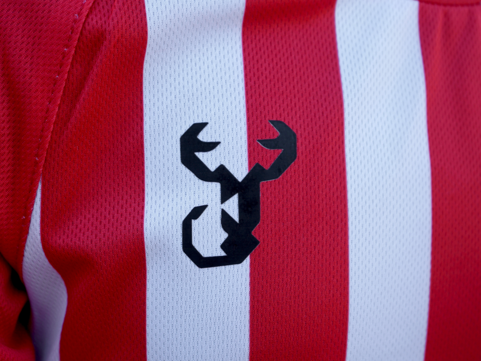 ANTALYASPOR   ÇOCUK AKREP LOGO  ÇUBUKLU FORMA