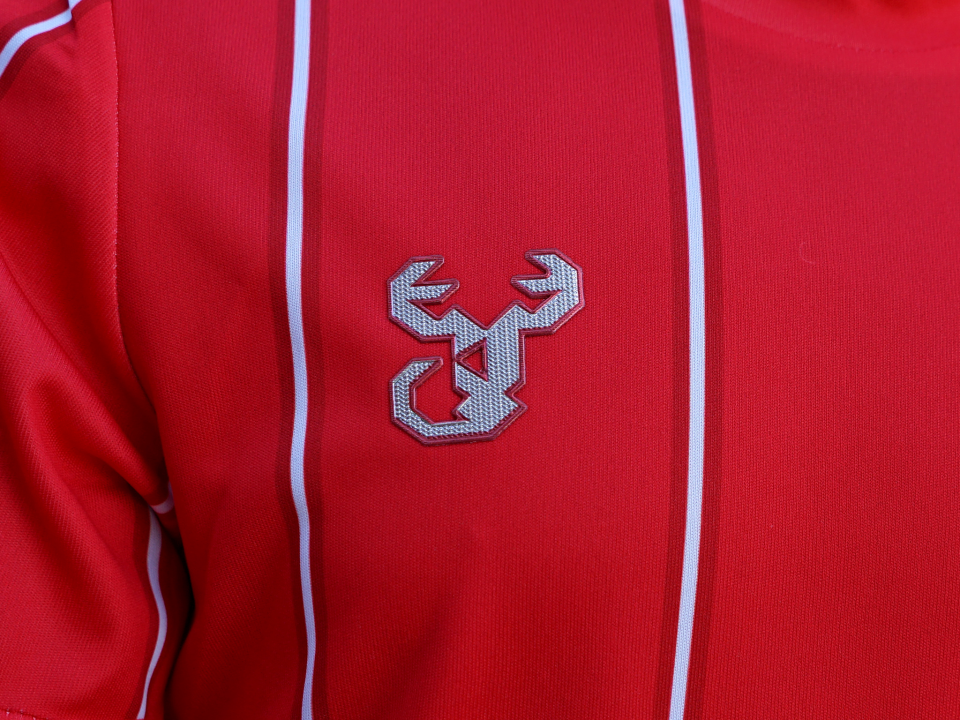 ANTALYASPOR ÇOCUK İNCE ÇİZGİLİ KIRMIZI FORMA