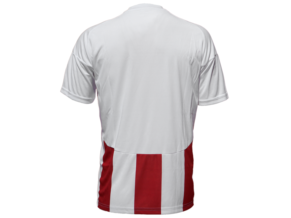 ANTALYASPOR TARAFTAR ÇUBUKLU FORMA