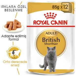 Royal Canin British Shorthair Adult Pouch Kedi Maması 85gr