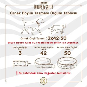 Cattie İsimlikli Deri Kedi Tasması Royalmavi 1X16-20Cm