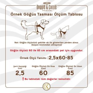 Cattie Havalı Dokuma Kedi Göğüs & Gezdirme Takımı Bej 1X25-35Cm