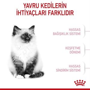 Royal Canin Kitten Yavru Kedi Maması 10kg