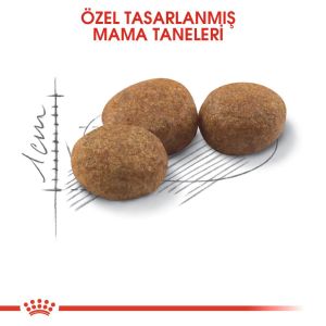 Royal Canin Sterilised37 Kısırlaştırılmış Kedi Maması 2kg