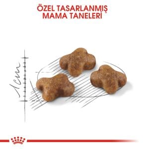 Royal Canin Kitten Yavru Kedi Maması 2kg
