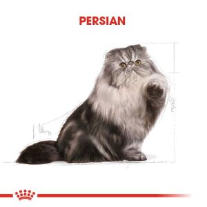 Royal Canin Persian Yetişkin İran Kedi Maması 2kg
