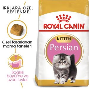 Royal Canin Persian Kitten Yavru İran Kedi Maması 2kg