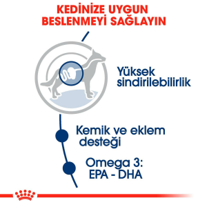 Royal Canin Maxi Adult Pouch Büyük Irk Yetişkin Köpek Konservesi 140gr