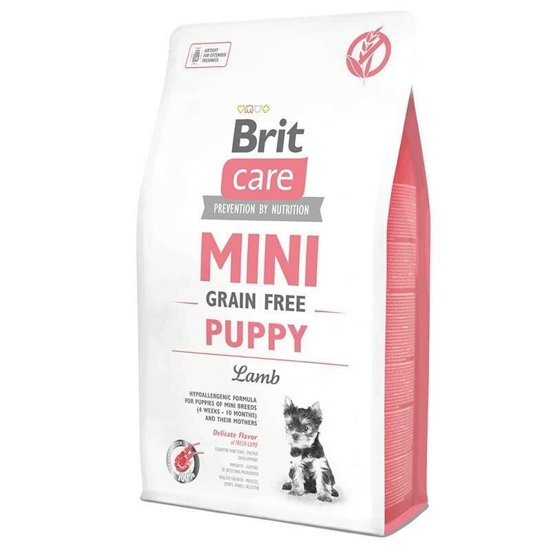 BRIT CARE MINI G-F PUPPY LAMB 2KG