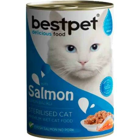 BESTPET CAT WITH SALMON STERILIZED IN GRAVY 400GR