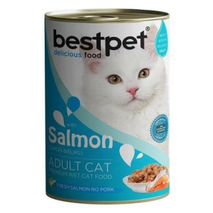 BESTPET CAT WITH SALMON GRAVY 400GR