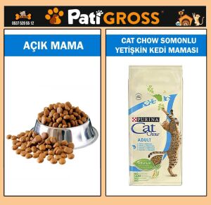 Cat Chow Somonlu Yetişkin Kedi Maması 1kg (AÇIK)