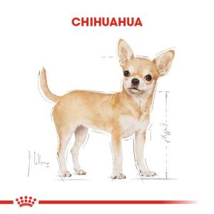 Royal Canin Chihuahua Adult Yetişkin Köpek Maması 1,5kg