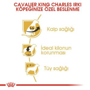 Royal Canin Cavalier King Charles Yetişkin Köpek Maması 3kg