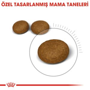 Royal Canin Hair Skin Hassas Tüy Sağlığı Yetişkin Kedi Maması 4Kg