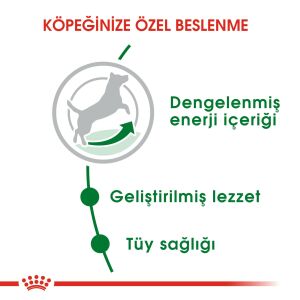 Royal Canin Mini Adult Yetişkin Köpek Maması 4kg