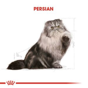 Royal Canin Persian Yetişkin İran Kedisi Maması 4kg