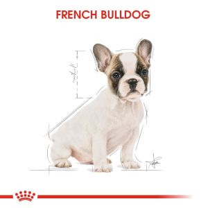 Royal Canin French Bulldog Junior Yavru Köpek Maması 3kg