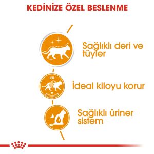 Royal Canin Intense Beauty Soslu Kedi Konservesi 85gr