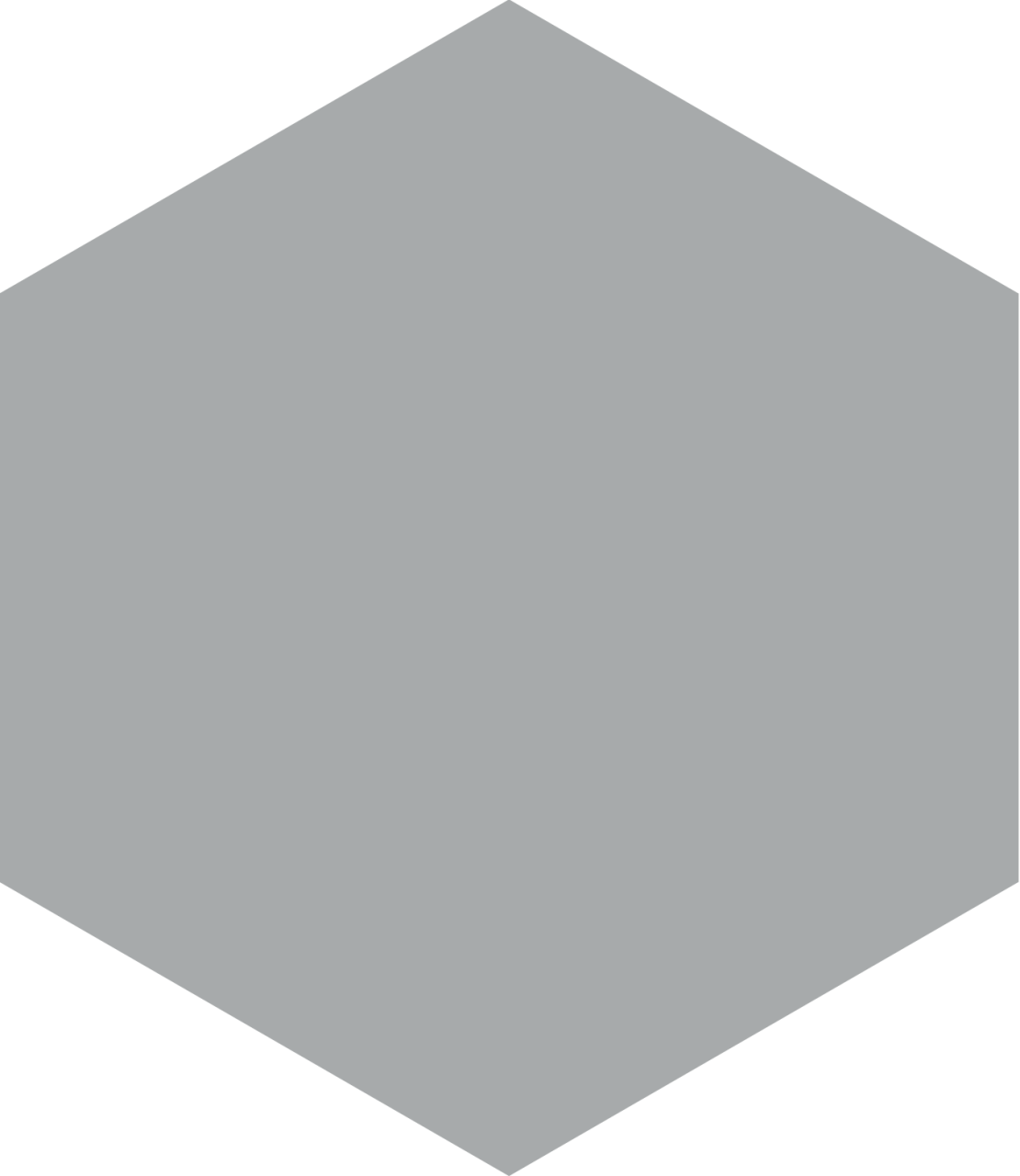 230X265 APINI GRI K:10