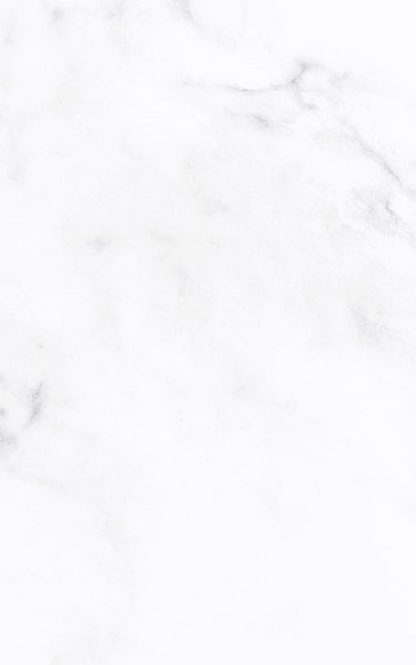 250X400 CARRARA GRI/BEYAZ K:8