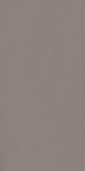 300X600 GEOSTONE TAUPE