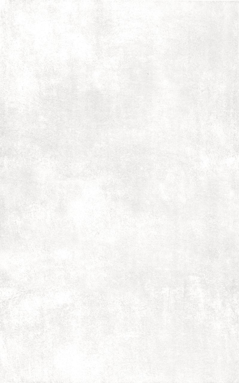 250X400 PASSION BEYAZ