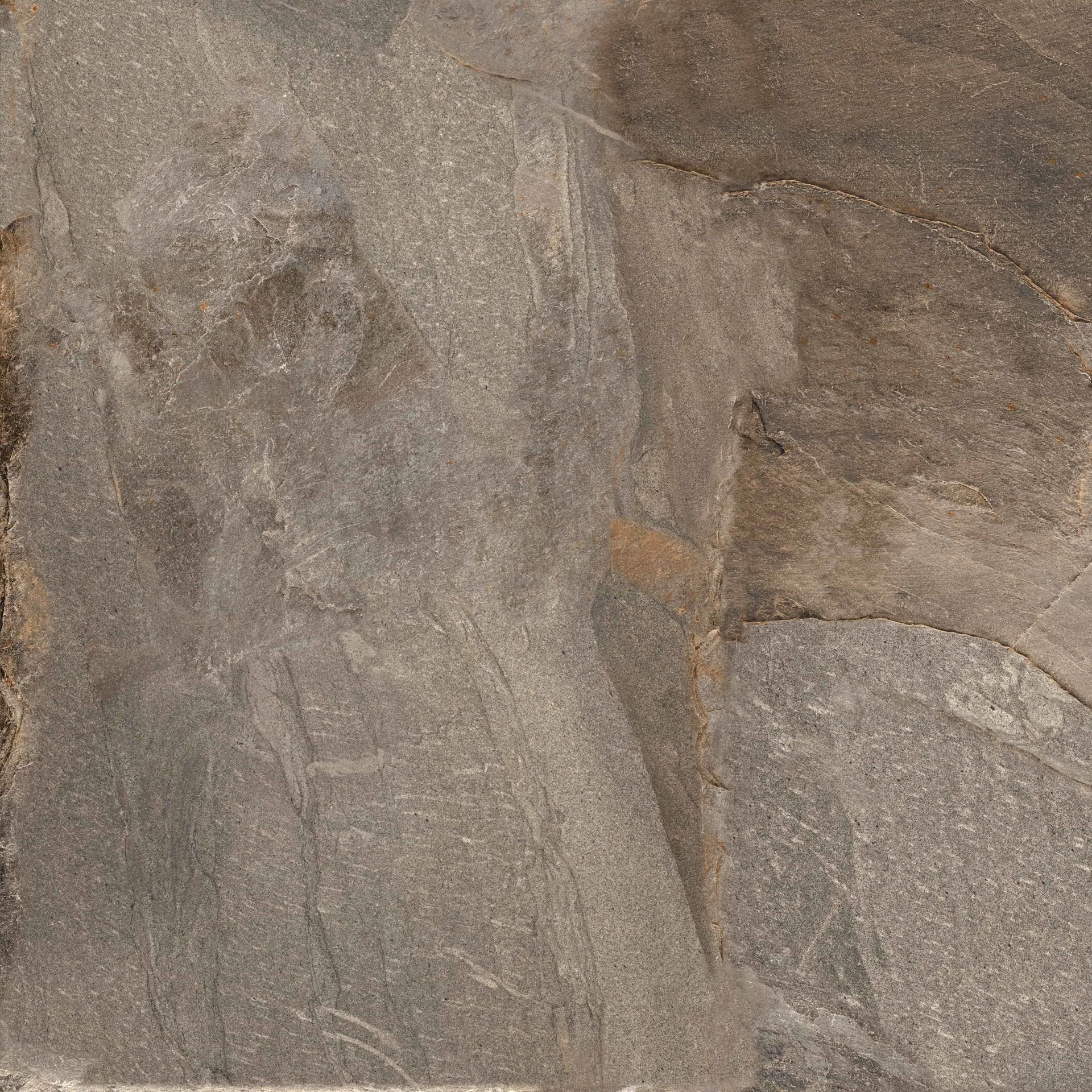 597X597 GROUND BRONZE REKTIFIYE