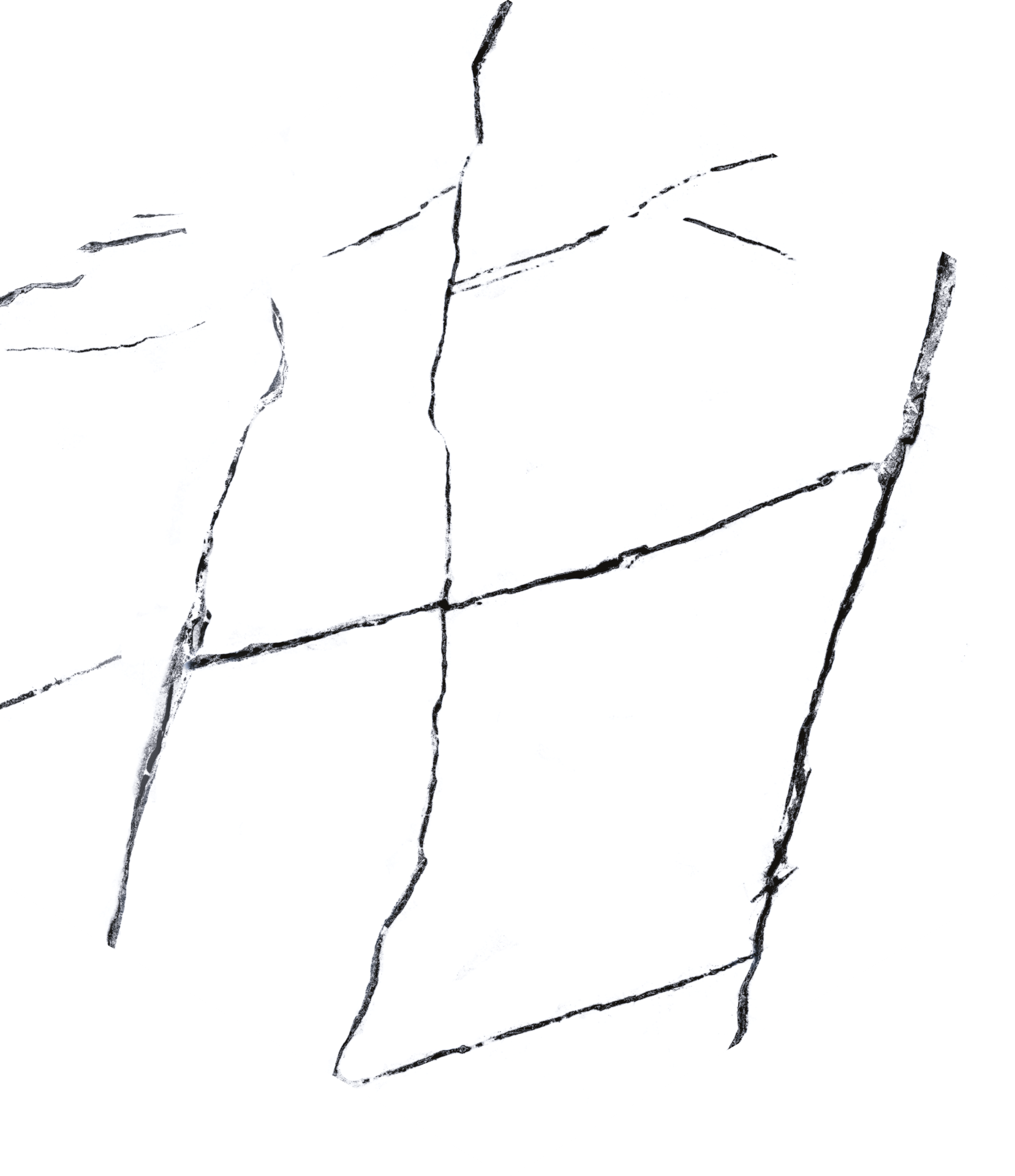 435X503 VISUM WHITE K:9