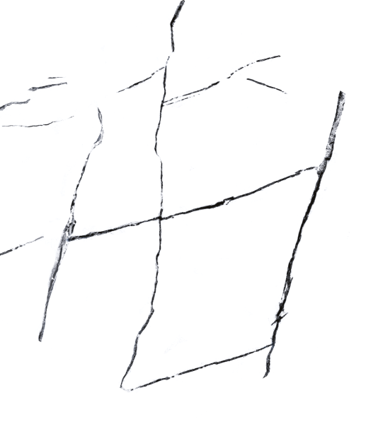 435X503 VISUM WHITE K:9