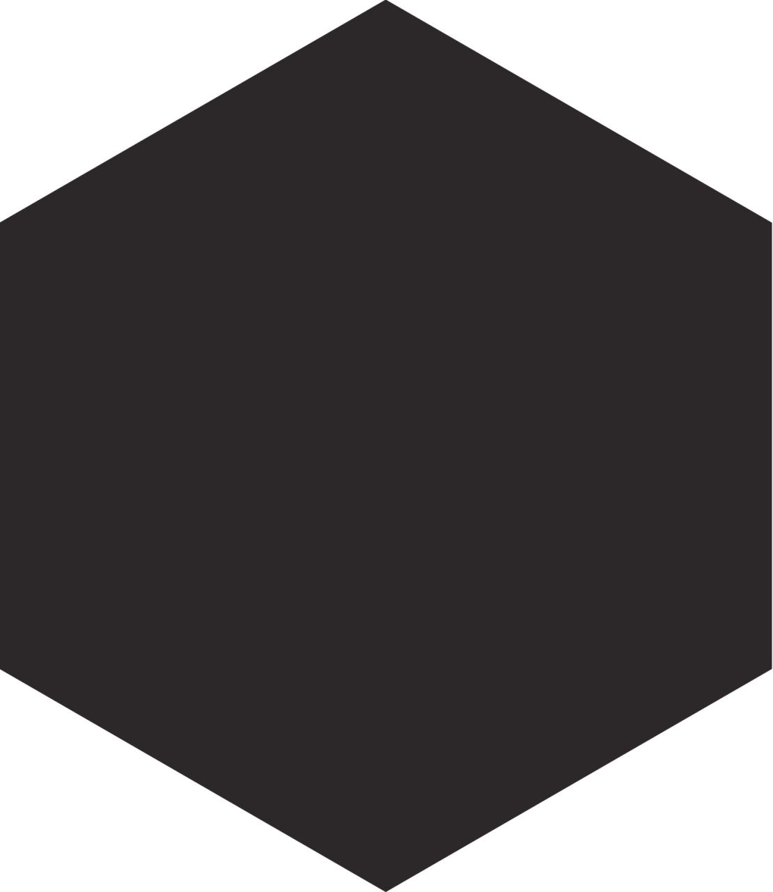 230X265 APINI SIYAH K:10