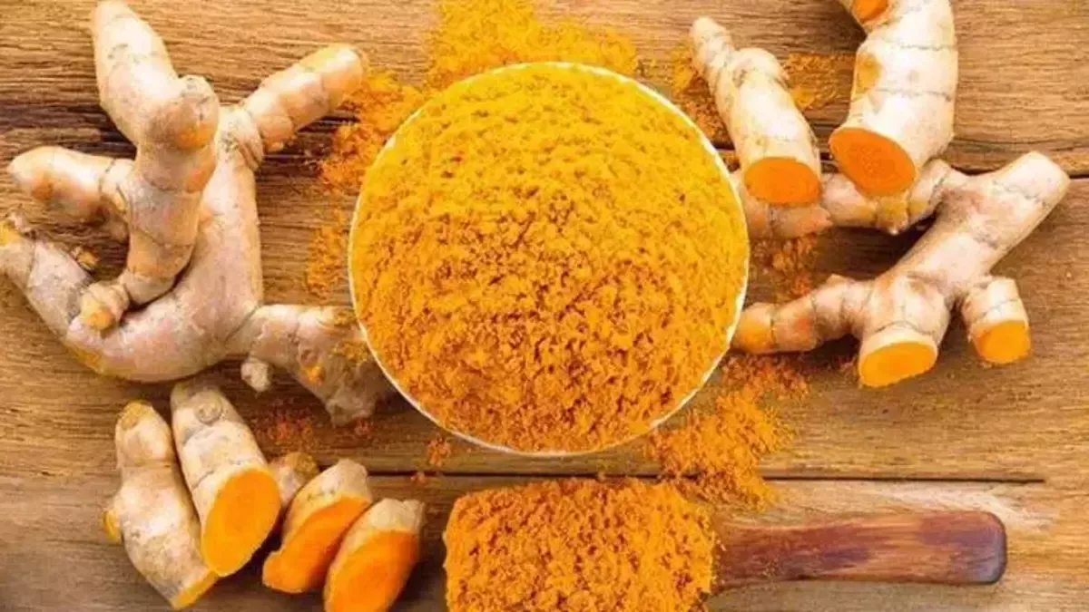 Organik Zencefilin Faydaları ve Kullanım Alanları