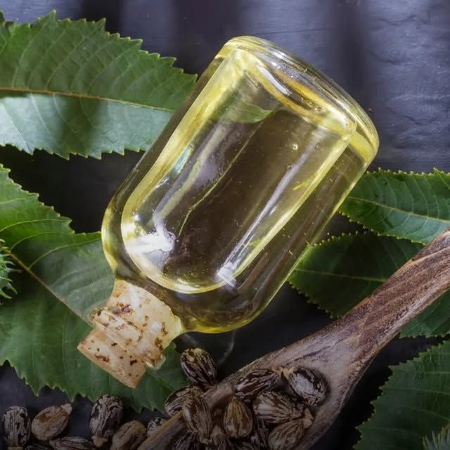 Hint Yağı Nedir? Faydaları, Kullanımı ve Cilt ile Saç Üzerindeki Etkileri