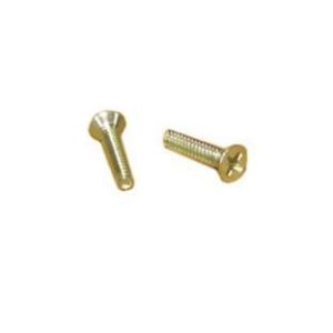 Respot Yoke Screw, Flat Head (BG10)_070002750