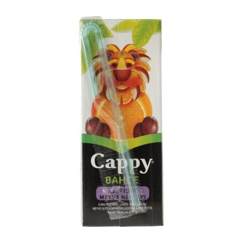 Cappy Karışık Meyve Suyu 200 Ml 27'li Paket