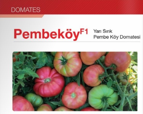 Pembeköy F1 Köy Domates Fidesi