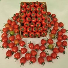 Asmin 07 F1 Domates Tohumu