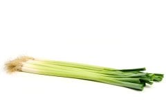 İnegöl 92 Pırasa Tohumu