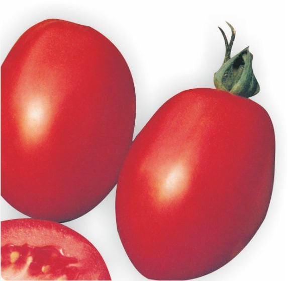Rio Grande Domates Tohumu