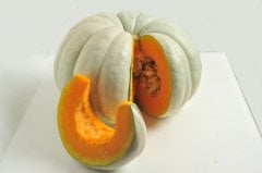 Arıcan 97 Bal Kabağı Tohumu