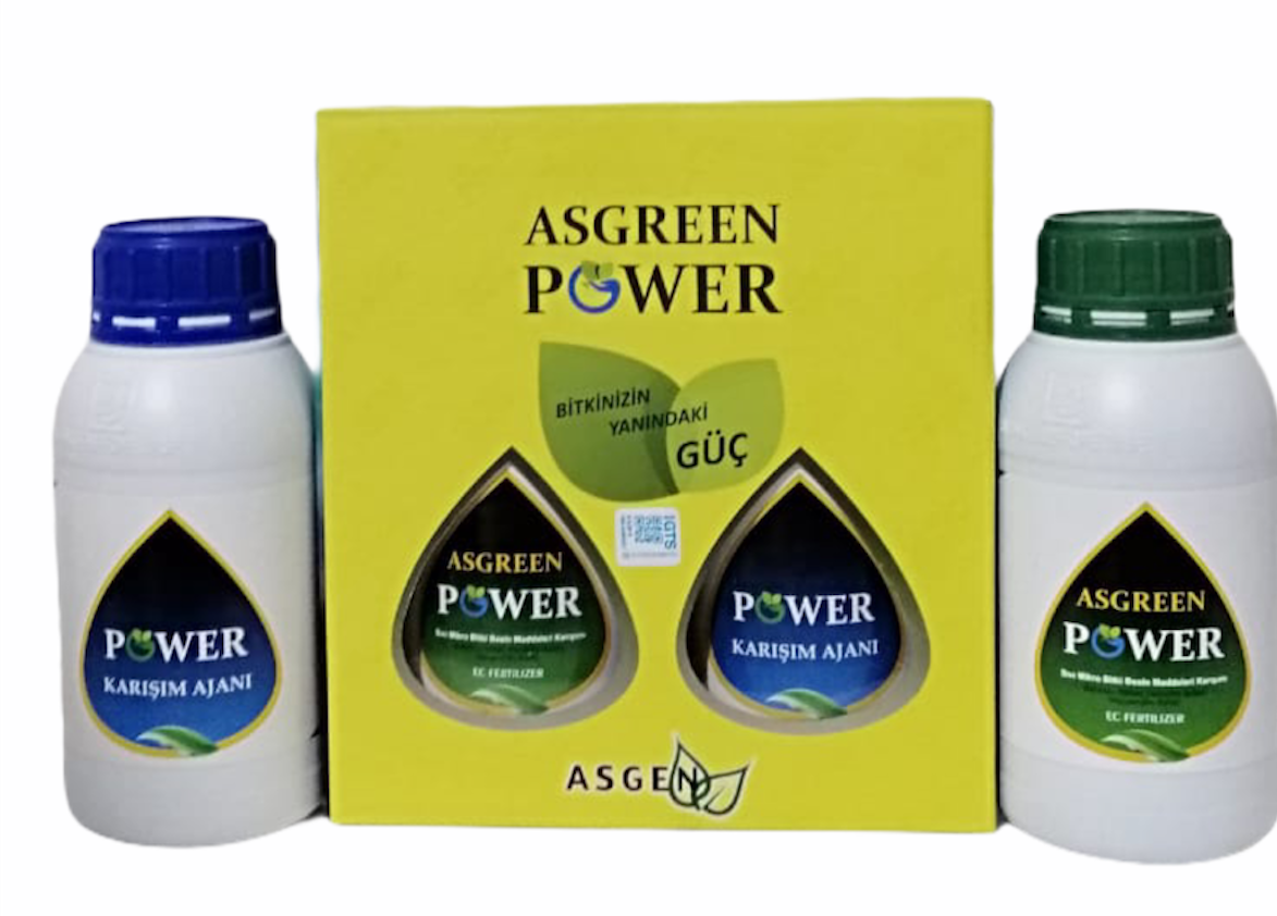 Asgreen Power