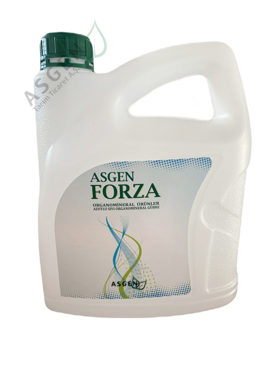 Asgen Forza