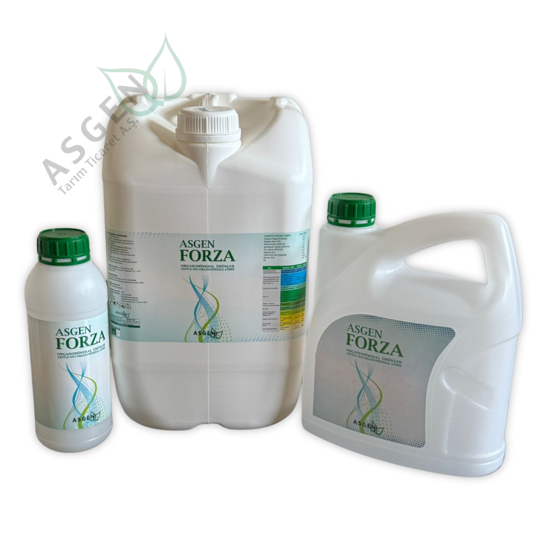 Asgen Forza