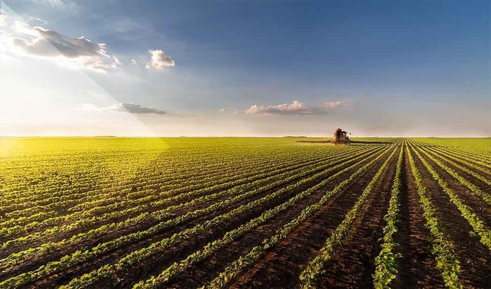 Bitki Besleme Ürünleri