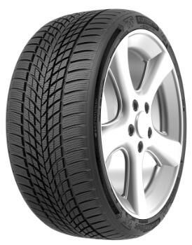 Funtoma 205/55R16 91H ROADFUN WINTER