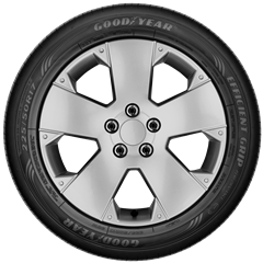 Goodyear 205/55R16 91V Efficientgrip Performance 4 Kanal Yaz Lastigi (2024)