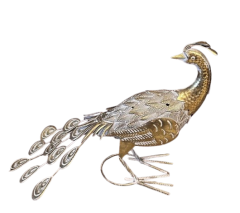 METAL TAVUS KUŞU