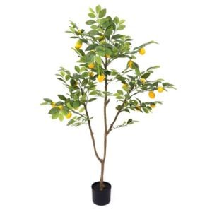 Yediveren Limon Ağacı Fidanı 150 Cm 200 Cm (Saksıda)