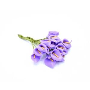 Lila Gala Kalla Çiçeği 20 Cm 40 Cm