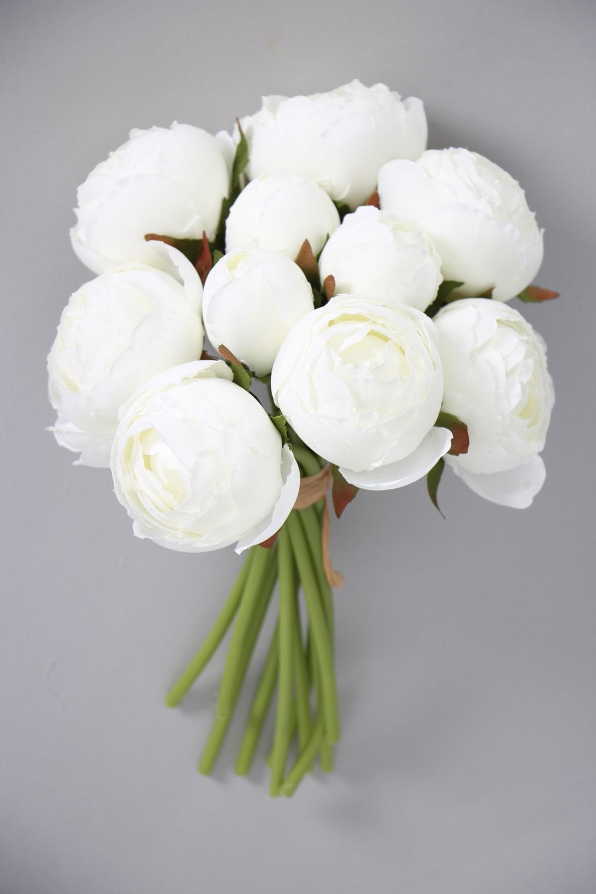 Beyaz Şakayık Çiçeği Fidanı 40Cm-60Cm